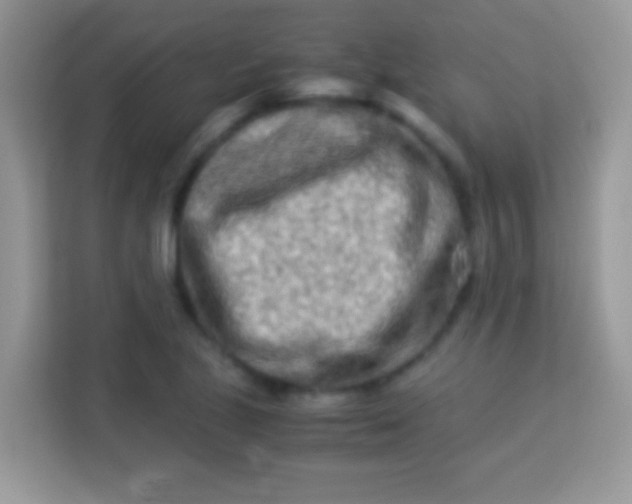 X0000113991221200910091331