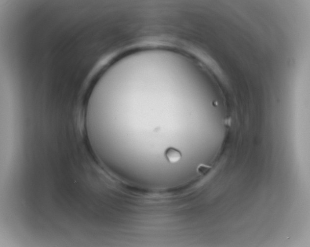 X0000113991224200910091331