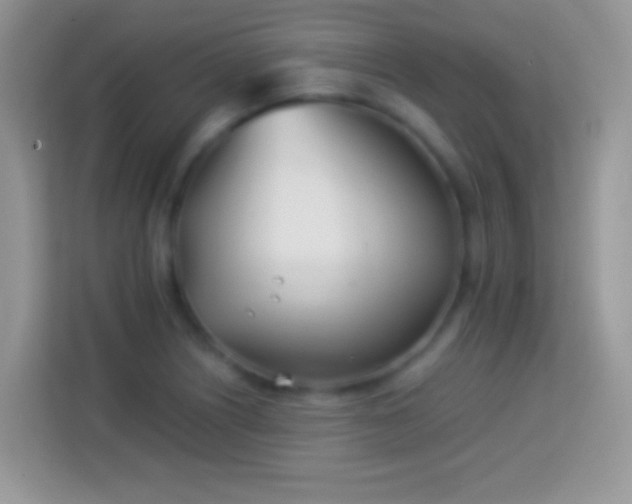 X0000113991226200910091331