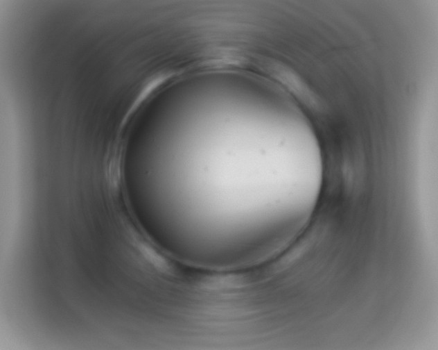 X0000113991228200910091331