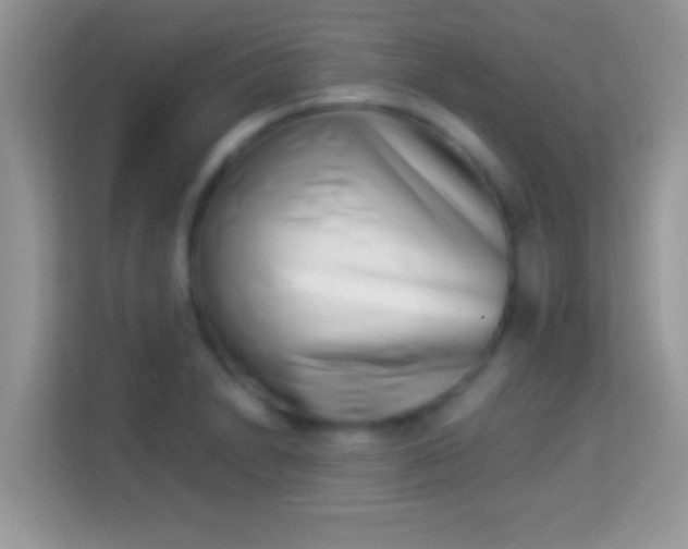 X0000113991230200910091331