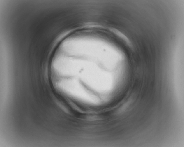 X0000113991231200910091332