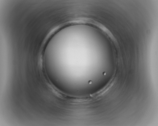 X0000113991232200910091332