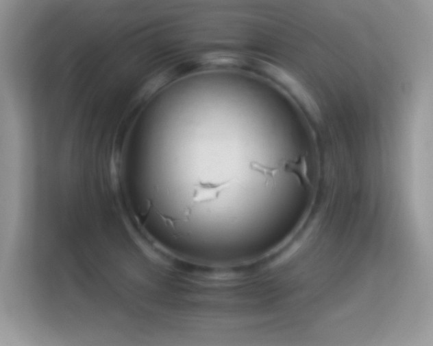 X0000113991233200910091332