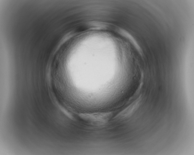 X0000113991235200910091332