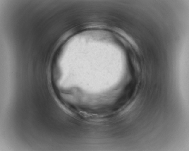 X0000113991237200910091332