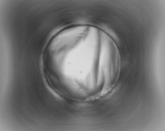 X0000113991239200910091332