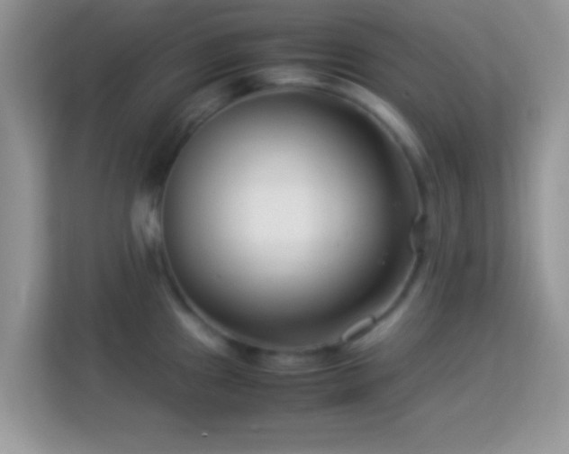 X0000113991241200910091332