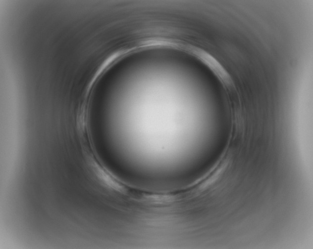 X0000113991244200910091332