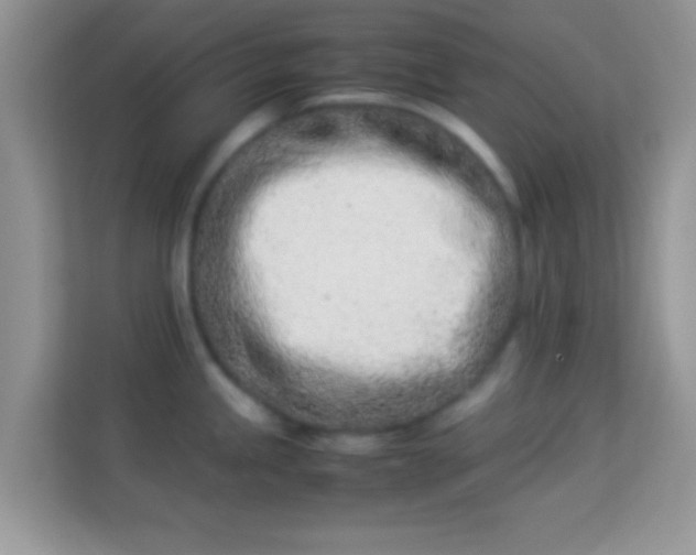 X0000113991245200910091332