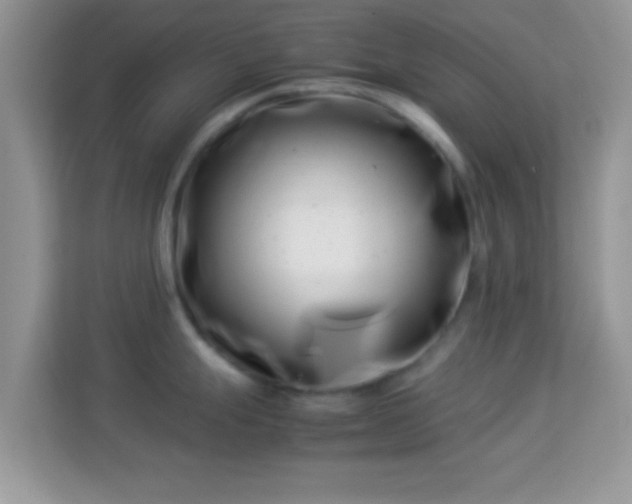 X0000113991247200910091332