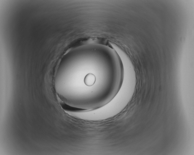 X0000113991249200910091331