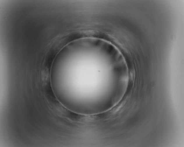 X0000113991251200910091331