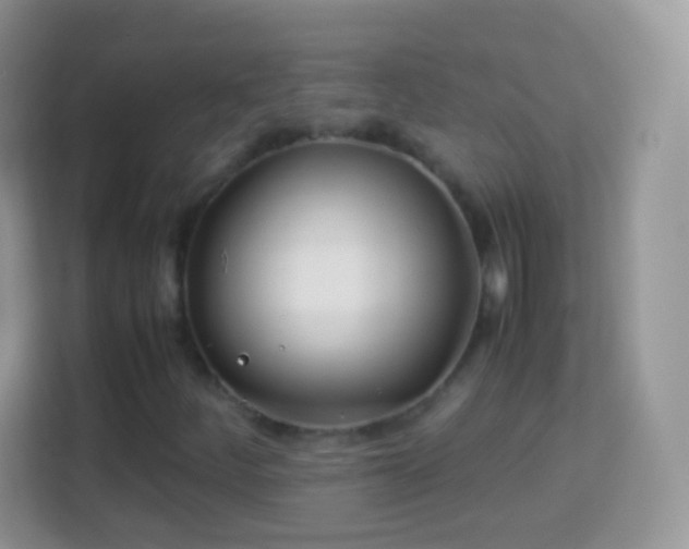 X0000113991252200910091331