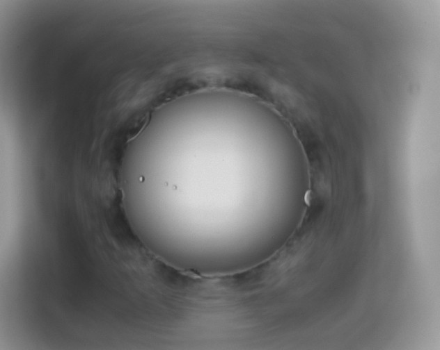 X0000113991253200910091331