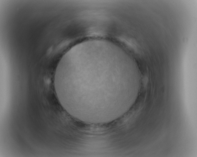 X0000113991254200910091331