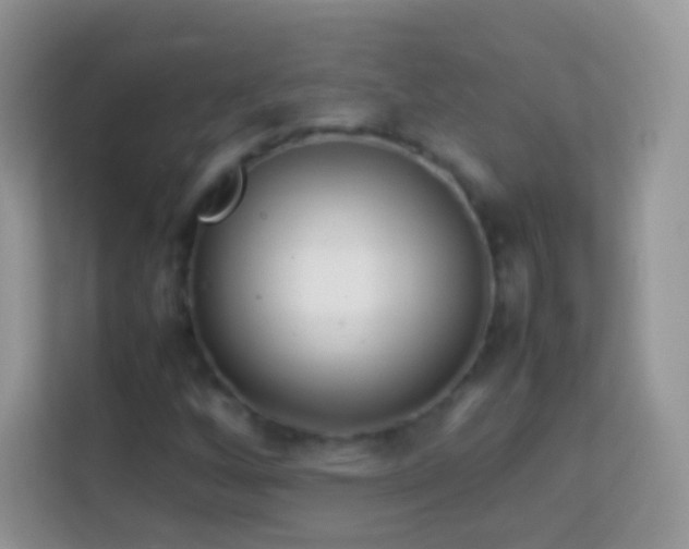 X0000113991256200910091331