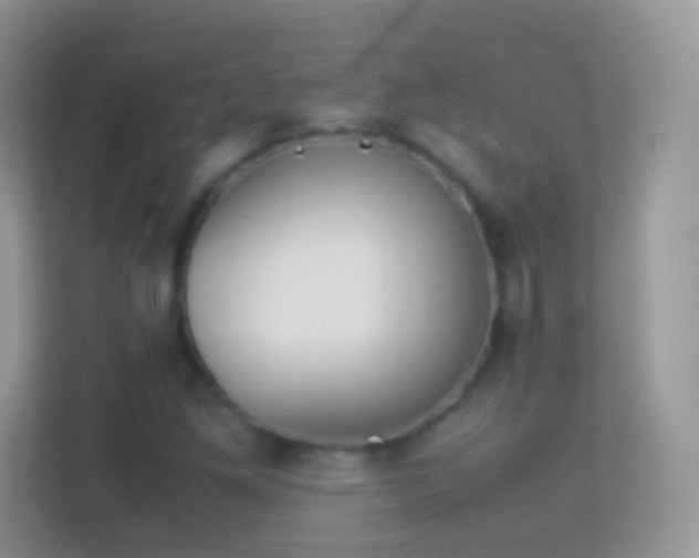 X0000113991261200910091331