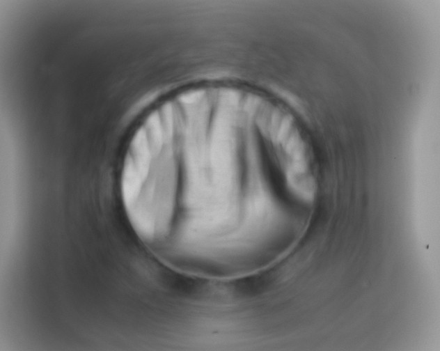 X0000113991263200910091331