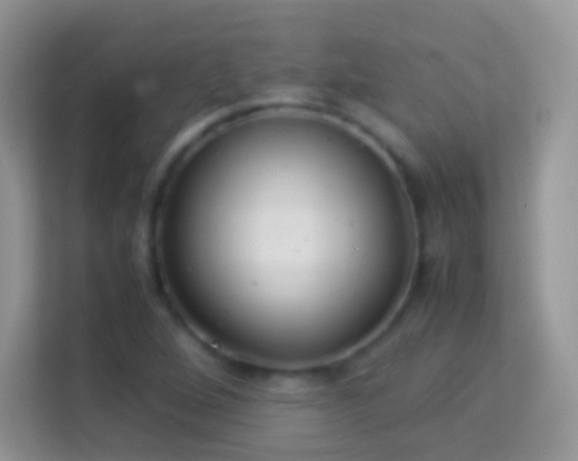 X0000113991264200910091331