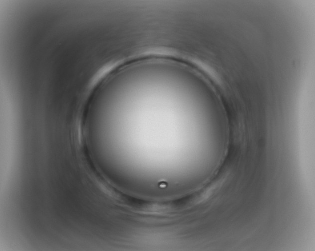 X0000113991271200910091331