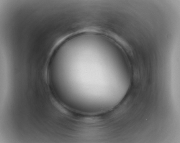 X0000113991272200910091331