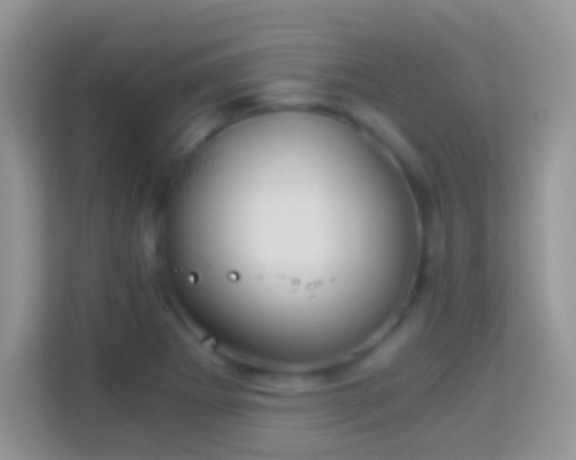 X0000113991273200910091331