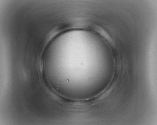 X0000113991275200910091331