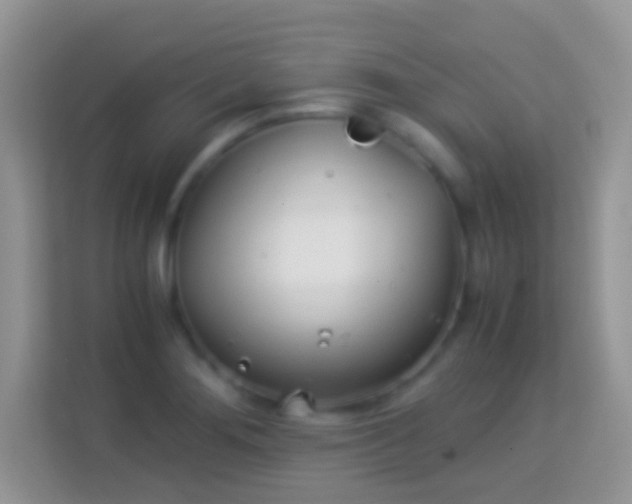 X0000113991276200910091331