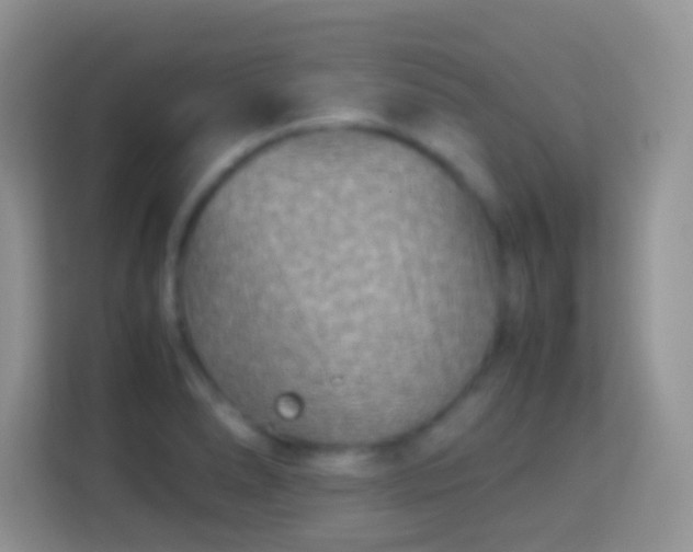 X0000113991278200910091331