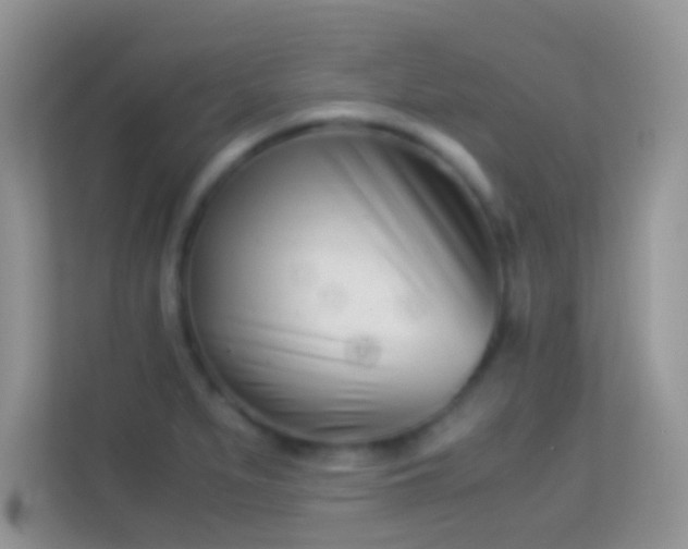 X0000113991279200910091331