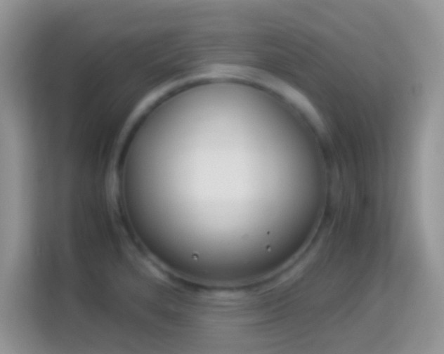 X0000113991280200910091331