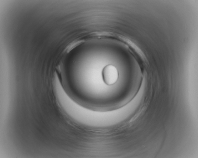 X0000113991281200910091331