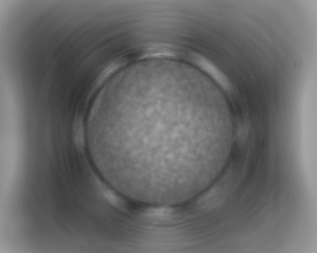 X0000113991282200910091331