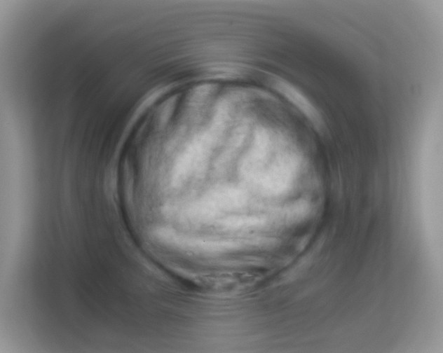 X0000113991283200910091331