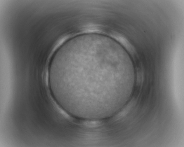 X0000113991286200910091331