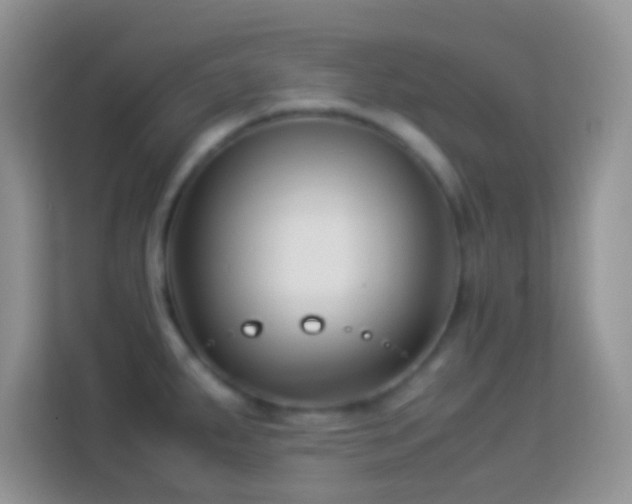 X0000113991287200910091331