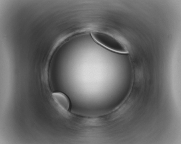 X0000113991288200910091331