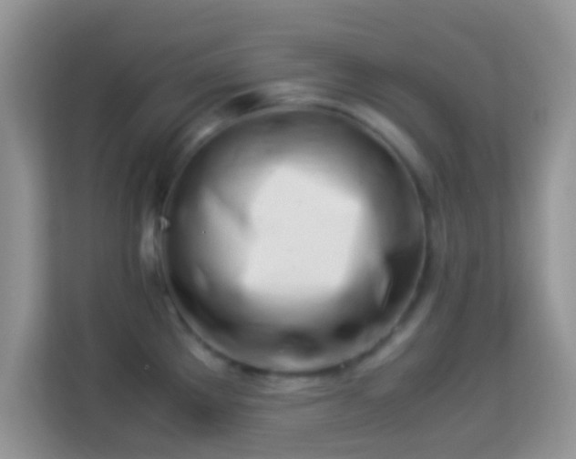 X0000113991289200910091331