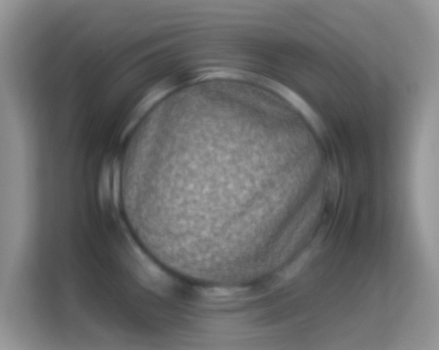 X0000113991290200910091331