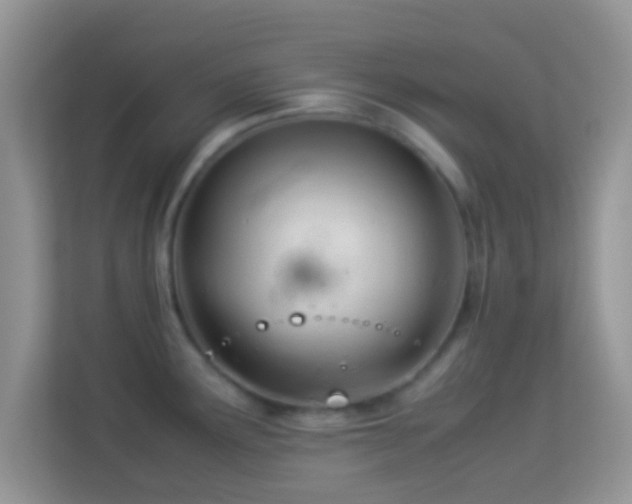 X0000113991291200910091331