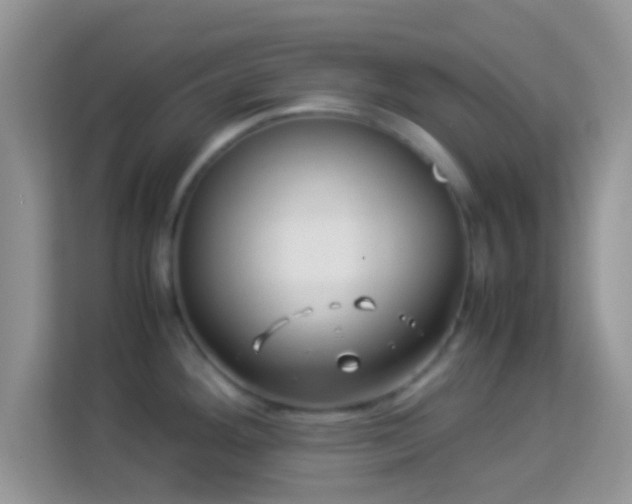 X0000113991292200910091331