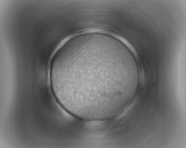 X0000113991294200910091330