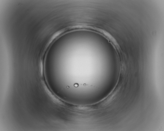 X0000113991295200910091330