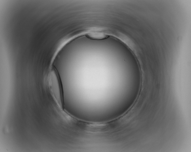 X0000113991296200910091330