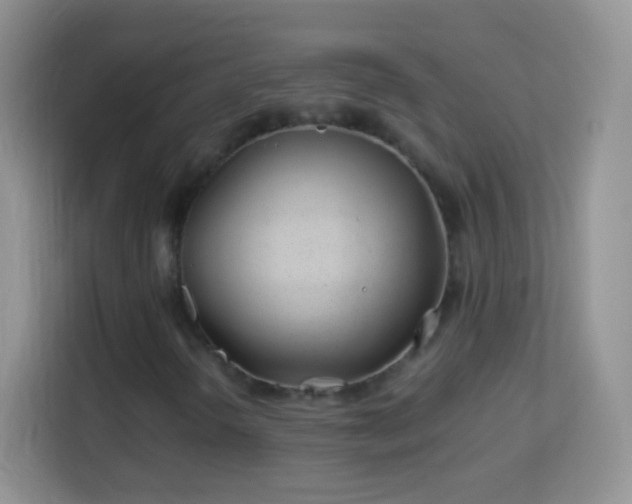 X0000113991298200910091330