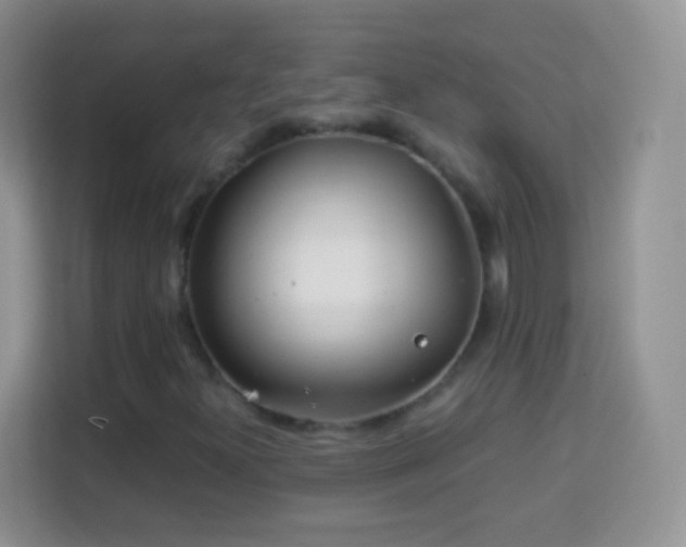 X0000113991300200910091330