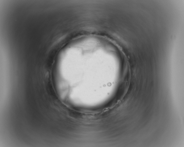 X0000113991302200910091330