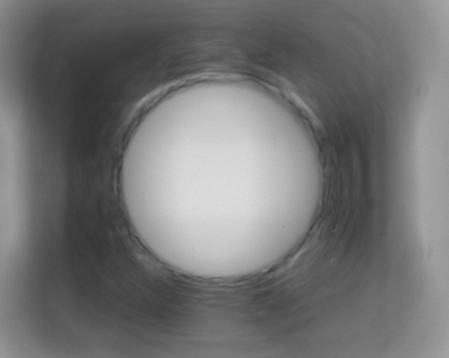 X0000113991304200910091330