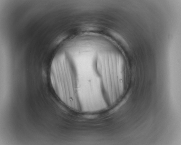 X0000113991305200910091330